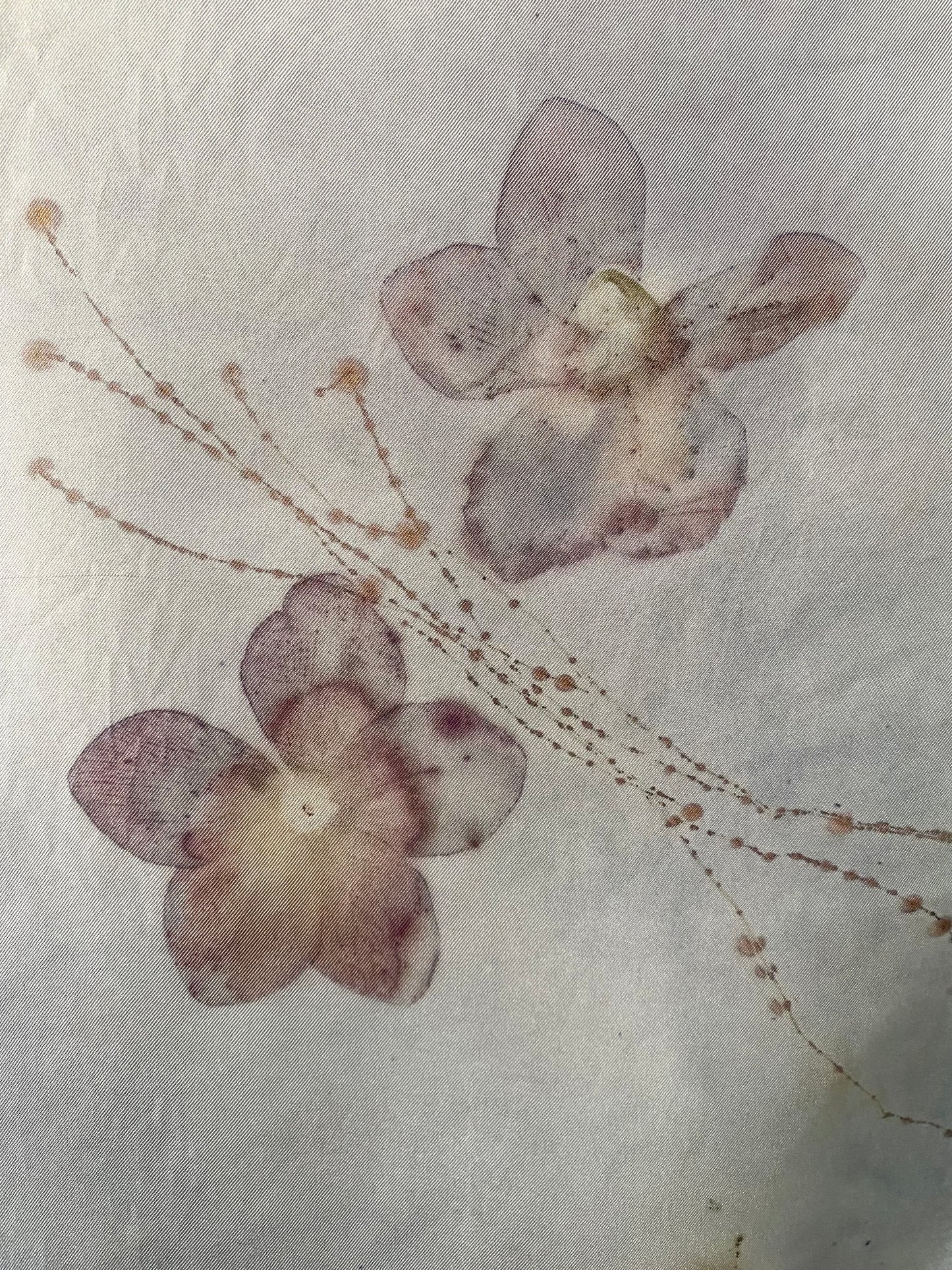 Sciarpa stampa naturale